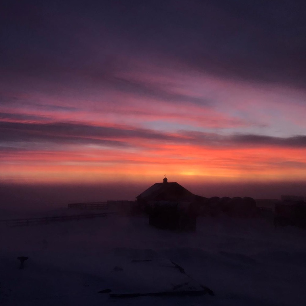 Meet your Posher, Trina